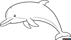 How to Draw a Dolphin Outline Drawing Featured Image