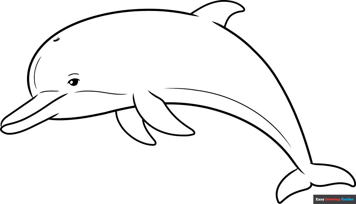 How to Draw a Dolphin Outline Drawing Featured Image