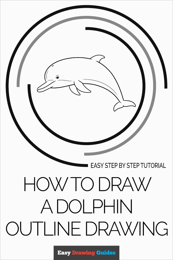 How to Draw a Dolphin Outline Drawing Pinterest Image