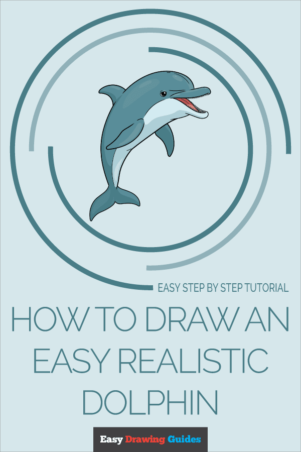 How to Draw an Easy Realistic Dolphin Pinterest Image