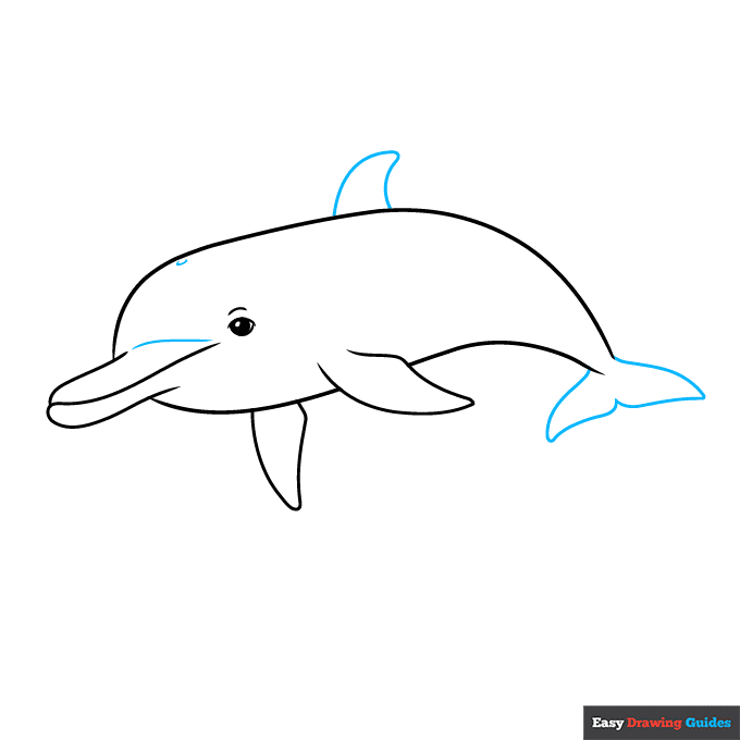 Underwater Dolphin step-by-step drawing tutorial: step 3