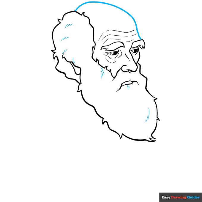 Charles Darwin step-by-step drawing tutorial: step 6