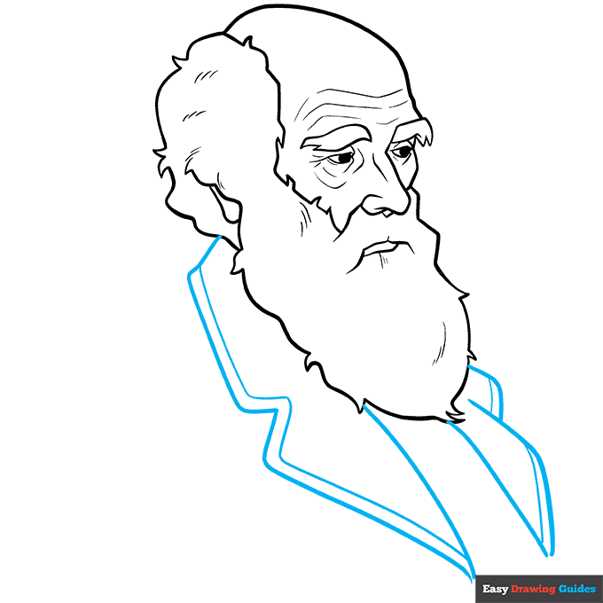 Charles Darwin step-by-step drawing tutorial: step 7