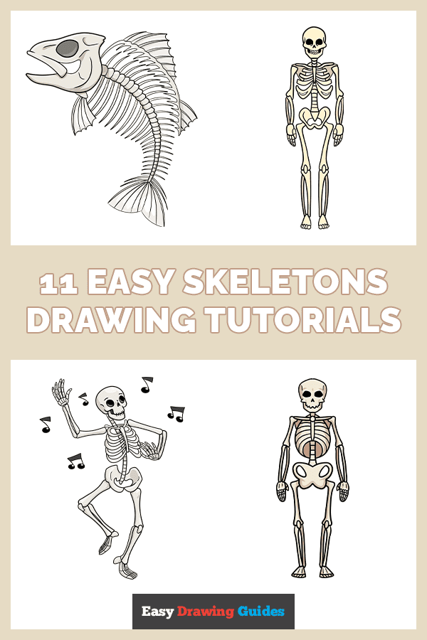 11 Easy Skeletons Drawing Tutorials Pinterest Image