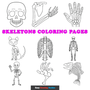 Free Skeletons Printable Coloring Pages for Kids - featured image
