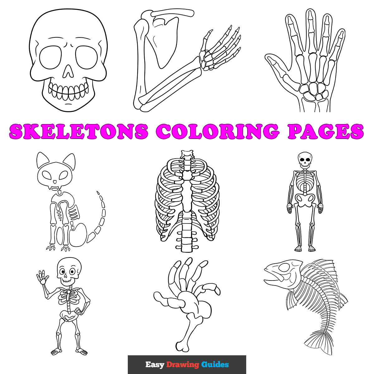 Free Skeletons Printable Coloring Pages for Kids - featured image