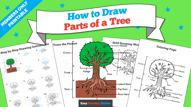 Parts of Tree Drawing Guide Printable Thumbnail