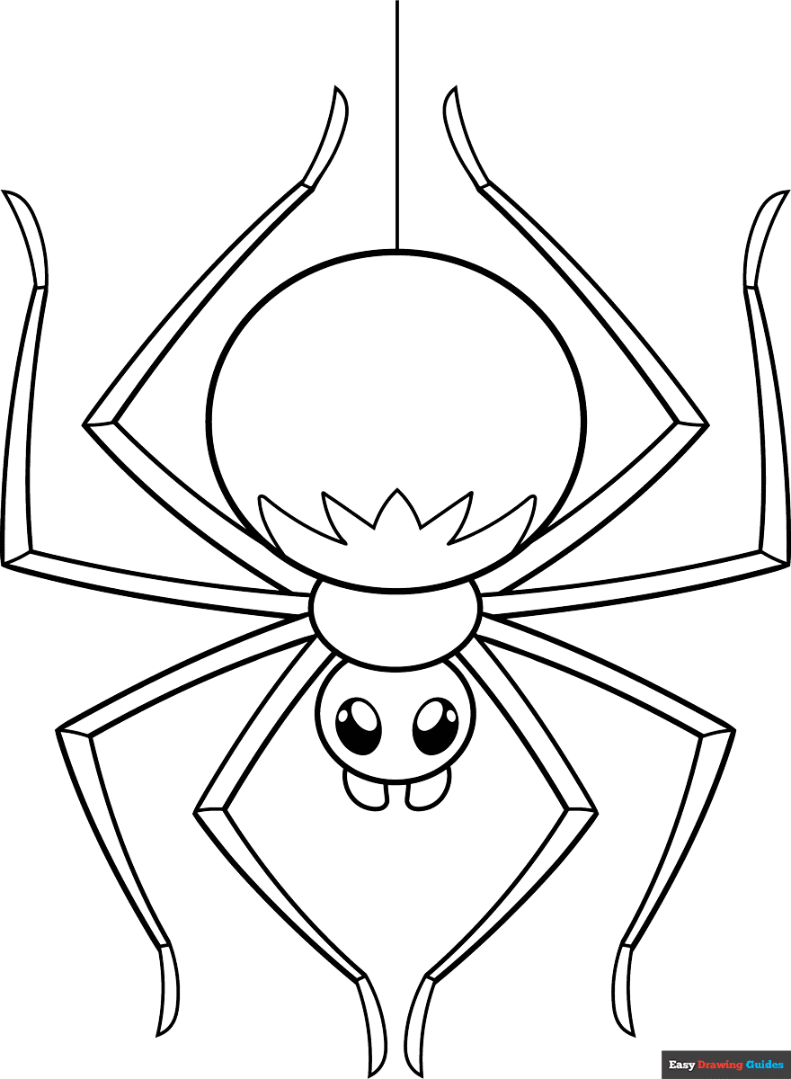 Free printable Easy Spider coloring page