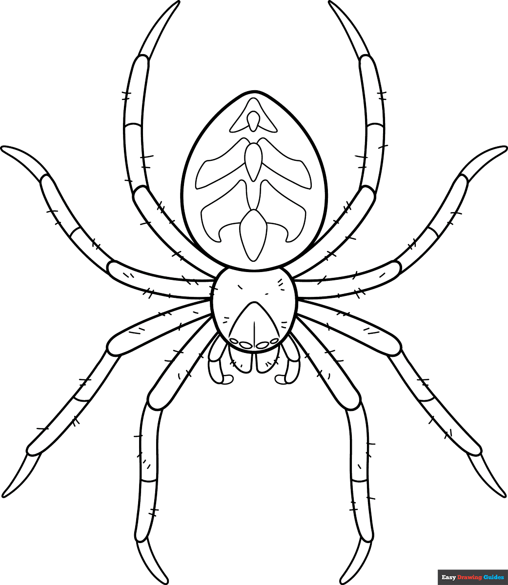 Free printable Easy Realistic Spider coloring page