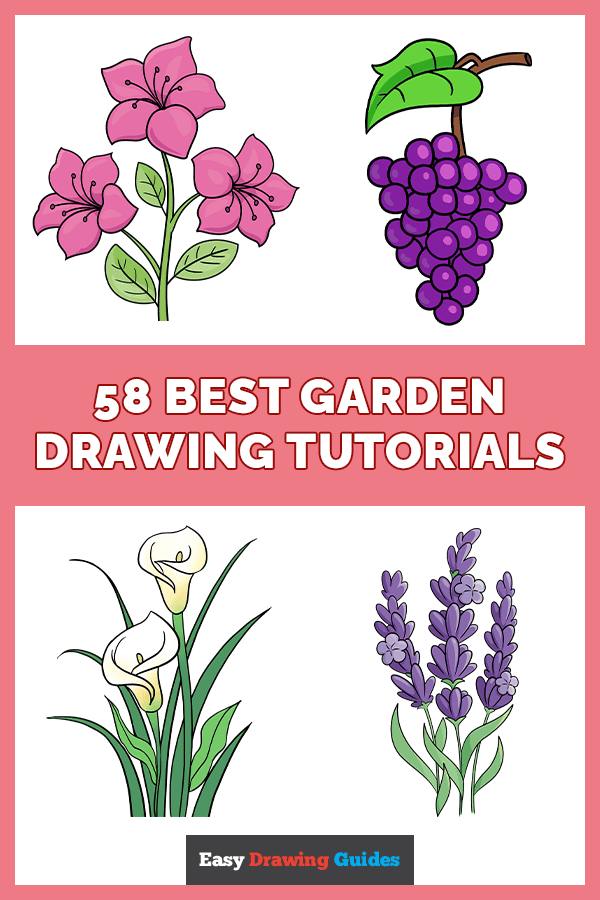 58 Easy Garden Drawing Tutorials Pinterest Image