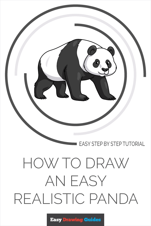How to Draw an Easy Realistic Panda Pinterest Image
