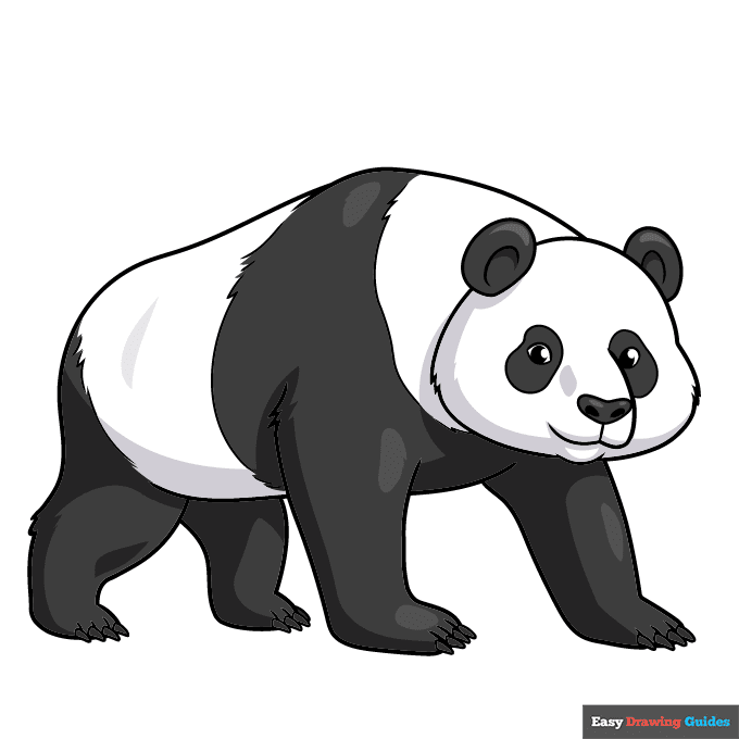 easy realistic panda step-by-step drawing tutorial: step 10