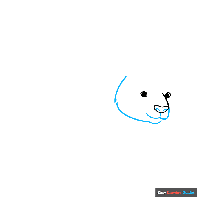 easy realistic panda step-by-step drawing tutorial: step 2