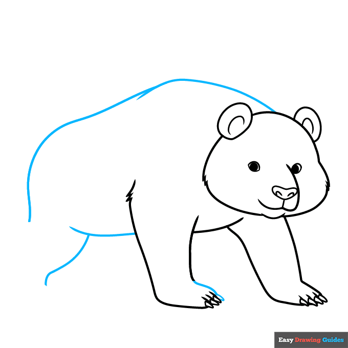 easy realistic panda step-by-step drawing tutorial: step 6