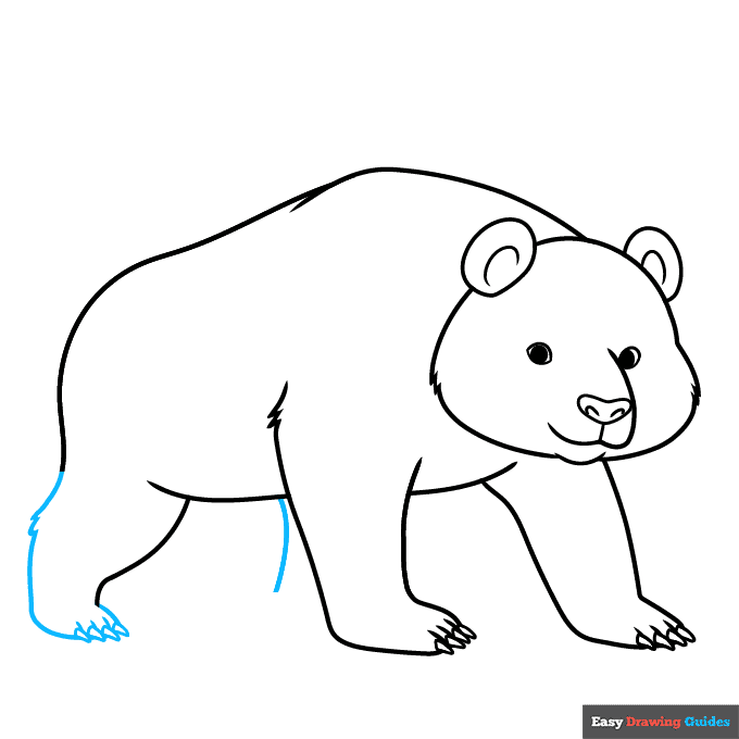 easy realistic panda step-by-step drawing tutorial: step 7