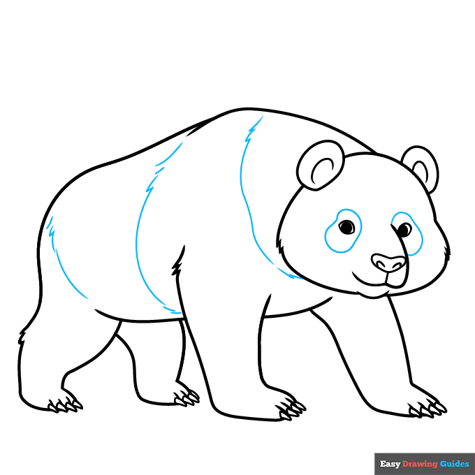 easy realistic panda step-by-step drawing tutorial: step 9