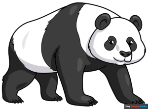 How to Draw an Easy Realistic Panda Featured Image