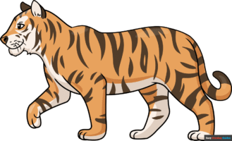 How to Draw an Easy Realistic Tiger