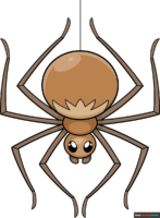 How to Draw an Easy Spider
