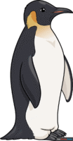How to Draw an Emperor Penguin