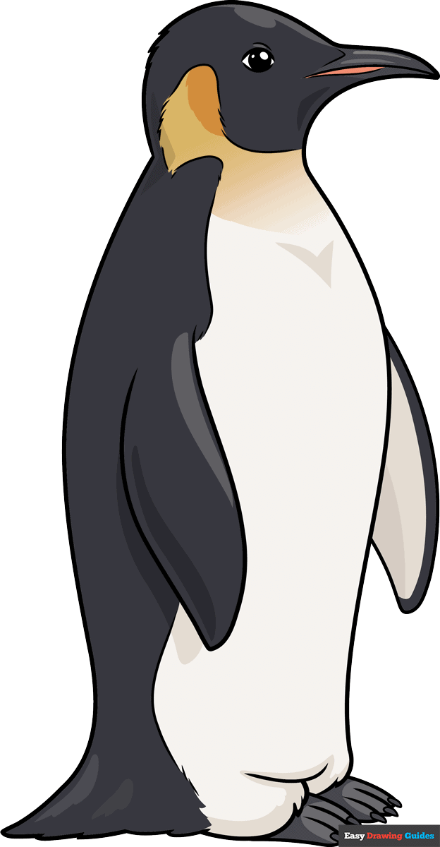 How to Draw an Emperor Penguin Featured Image