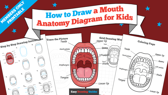 How to Draw a Mouth Anatomy Diagram For Kids Printable Thumbnail