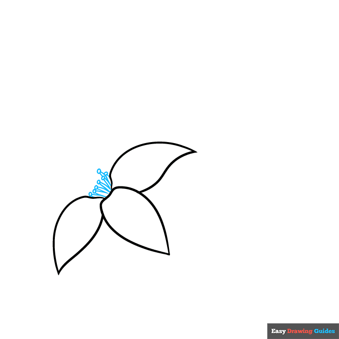 Orange Blossom step-by-step drawing tutorial: step 2