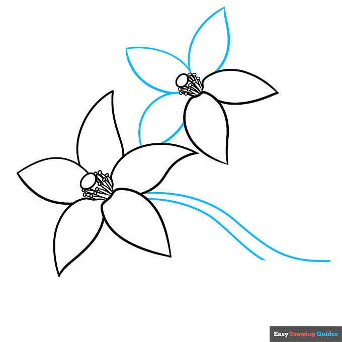 Orange Blossom step-by-step drawing tutorial: step 6