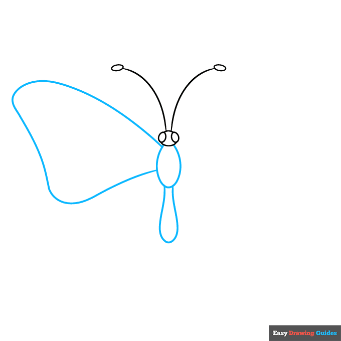 butterfly body parts step-by-step drawing tutorial: step 2