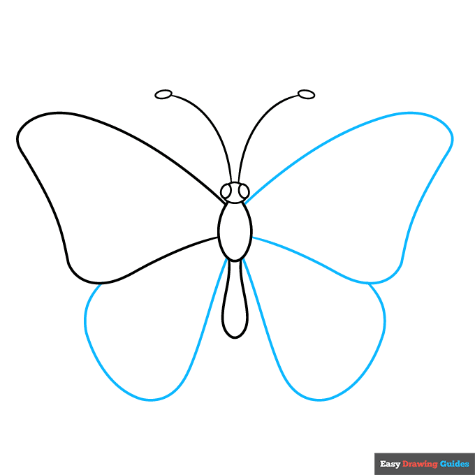 butterfly body parts step-by-step drawing tutorial: step 3