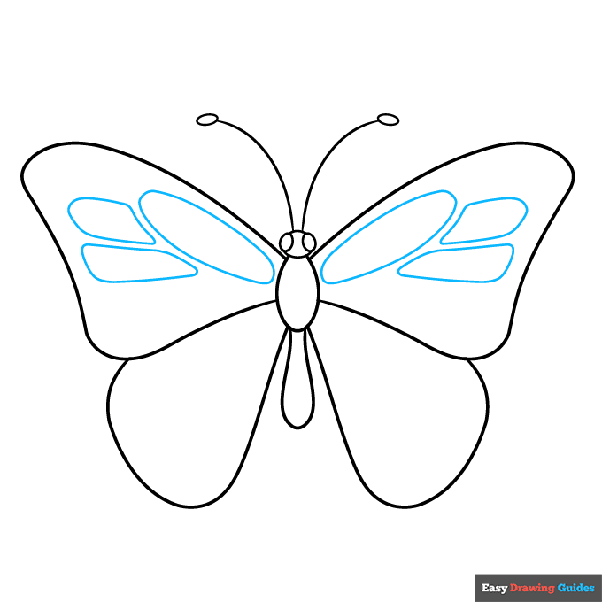 butterfly body parts step-by-step drawing tutorial: step 4