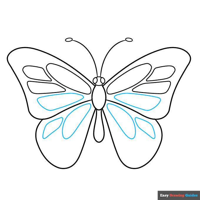 butterfly body parts step-by-step drawing tutorial: step 5