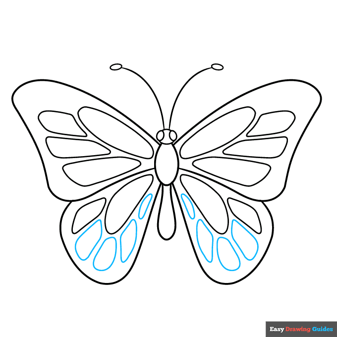 butterfly body parts step-by-step drawing tutorial: step 6