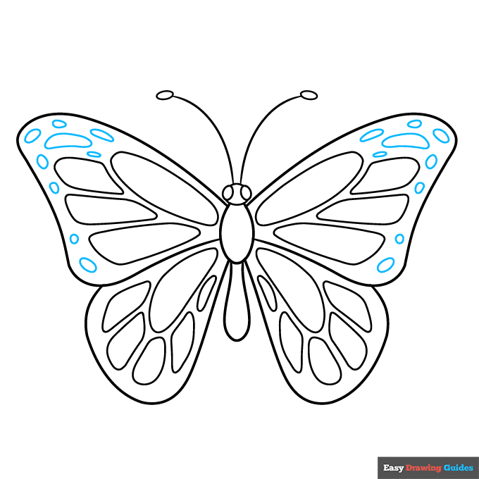 butterfly body parts step-by-step drawing tutorial: step 7