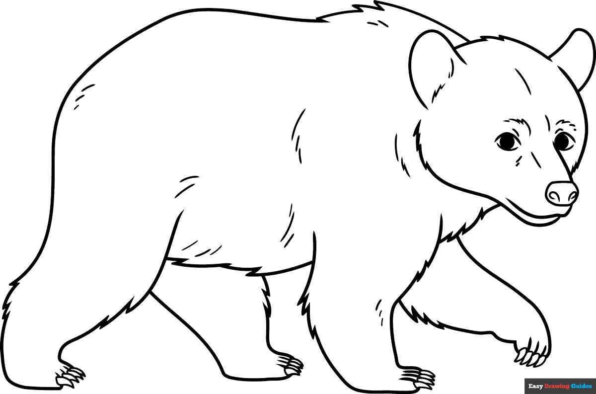 Free printable black bear coloring page