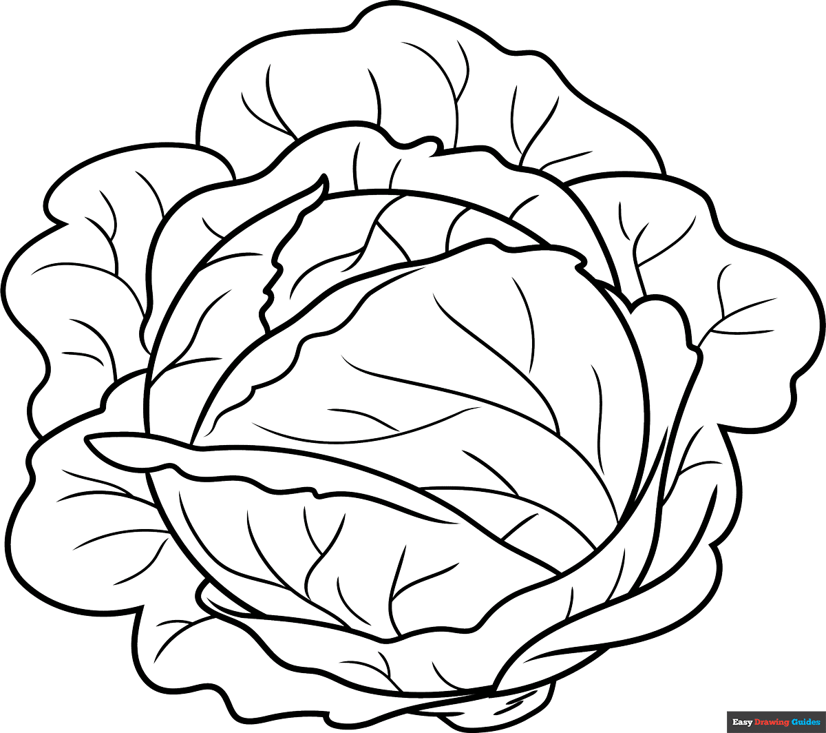 Free printable cabbage coloring page