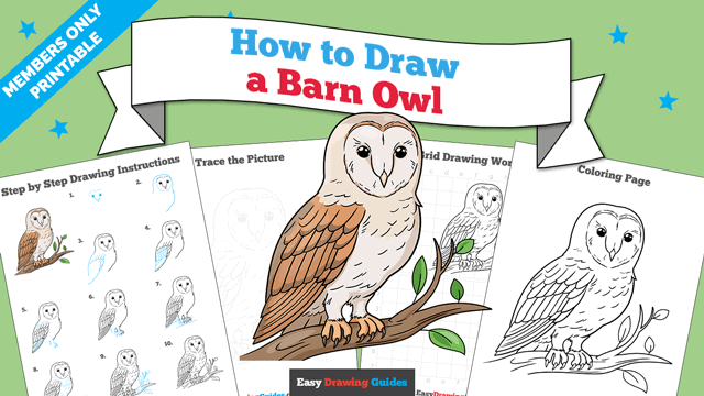 How to Draw a Barn Owl Printable Thumbnail Image
