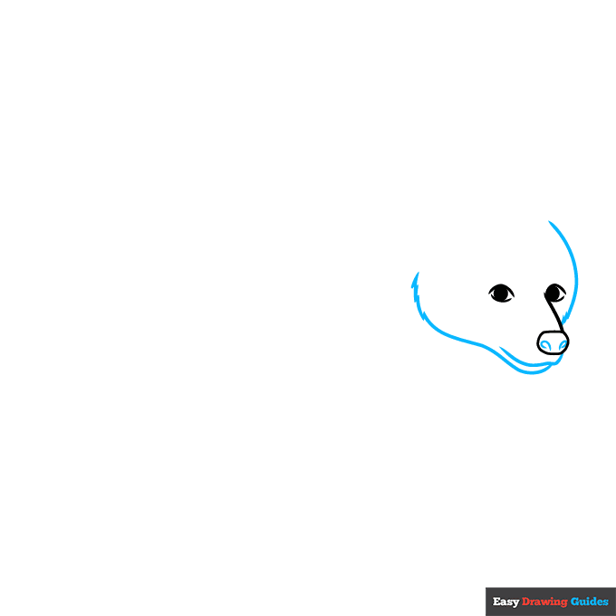 Black Bear step-by-step drawing tutorial: step 2