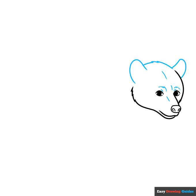 Black Bear step-by-step drawing tutorial: step 3