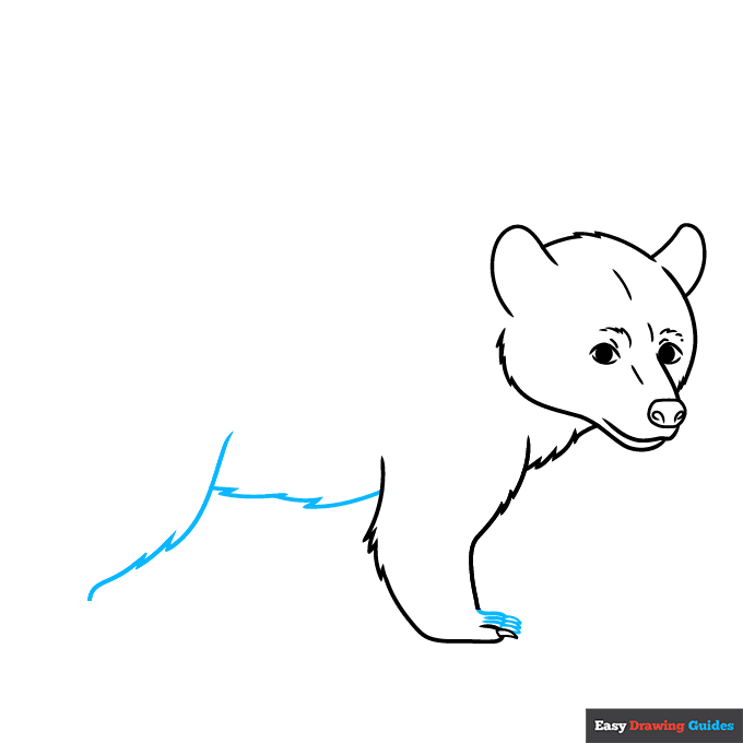 Black Bear step-by-step drawing tutorial: step 5