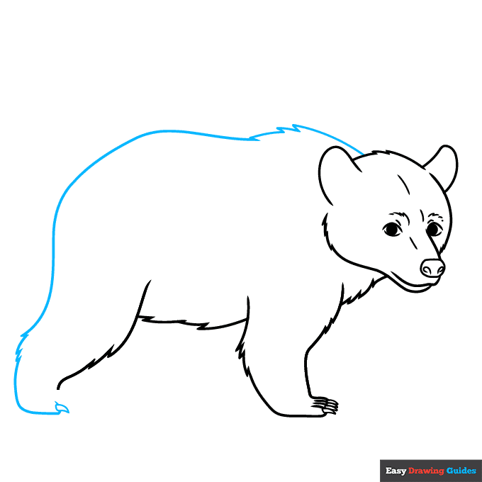 Black Bear step-by-step drawing tutorial: step 6