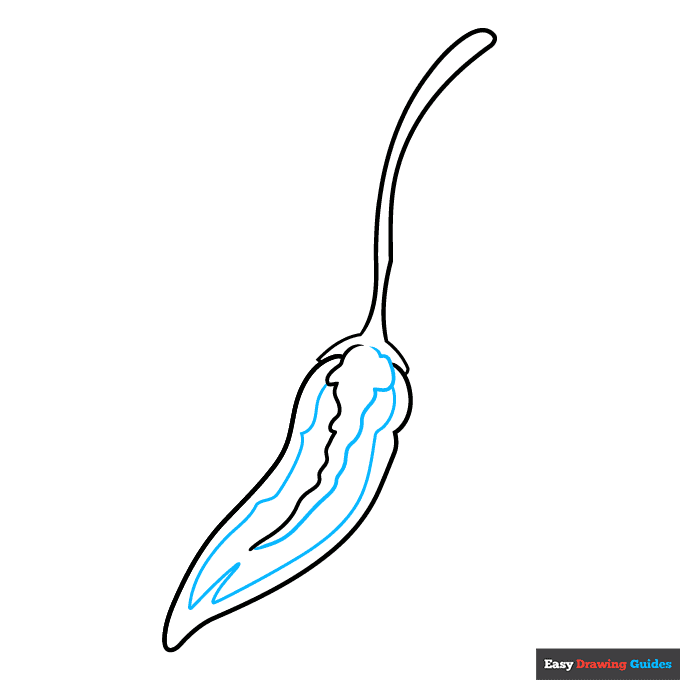 Chili Pepper step-by-step drawing tutorial: step 3