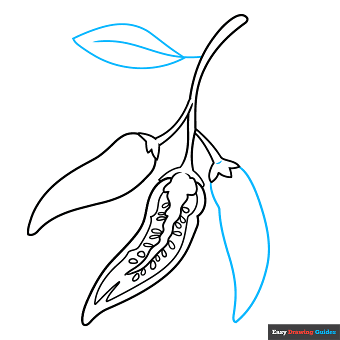 Chili Pepper step-by-step drawing tutorial: step 6