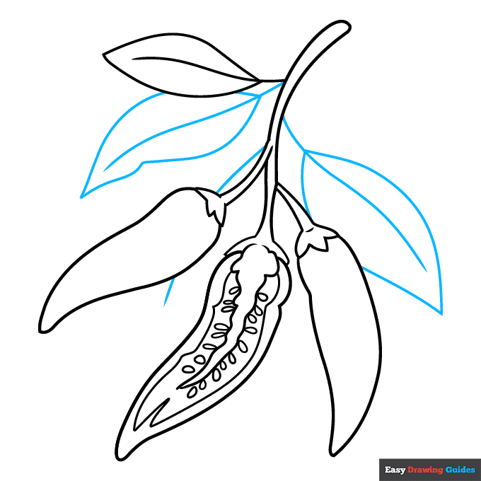 Chili Pepper step-by-step drawing tutorial: step 7