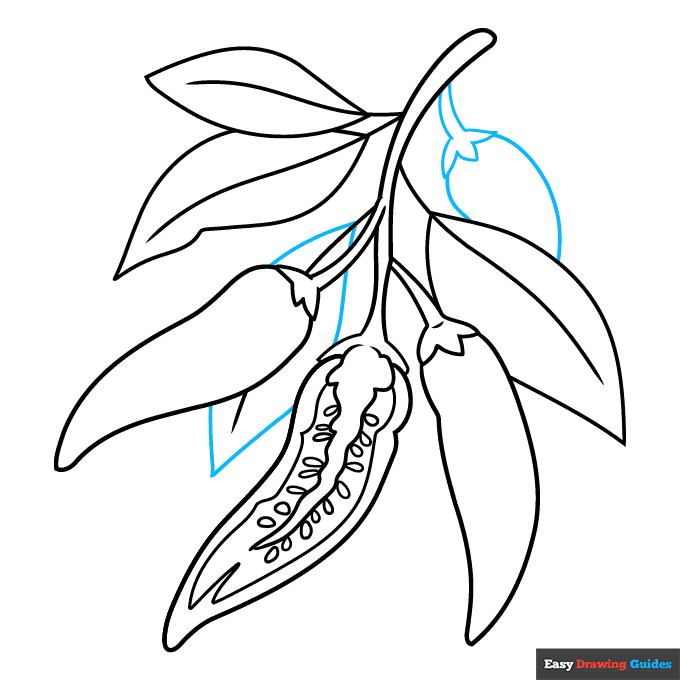 Chili Pepper step-by-step drawing tutorial: step 8
