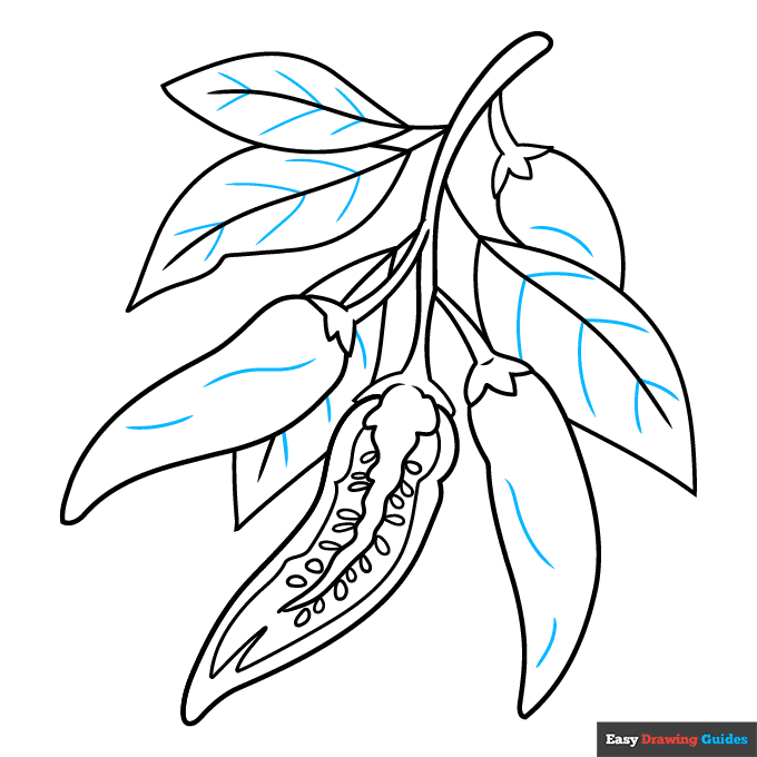 Chili Pepper step-by-step drawing tutorial: step 9