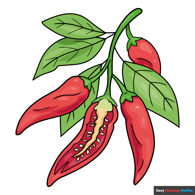 Chili Pepper step-by-step drawing tutorial: step 11