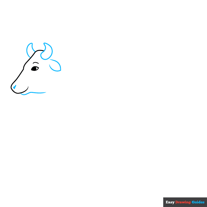 Easy Realistic Cow step-by-step drawing tutorial: step 2