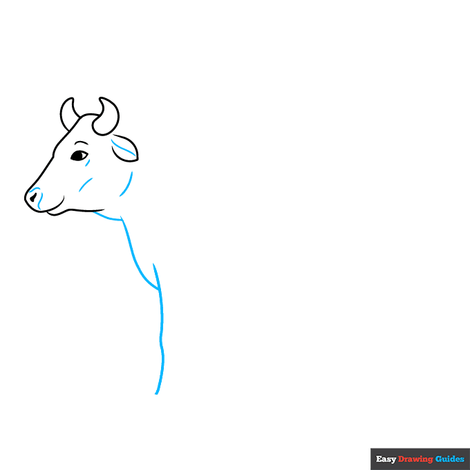 Easy Realistic Cow step-by-step drawing tutorial: step 3