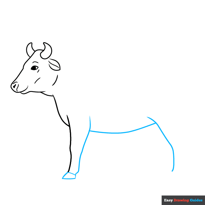 Easy Realistic Cow step-by-step drawing tutorial: step 4